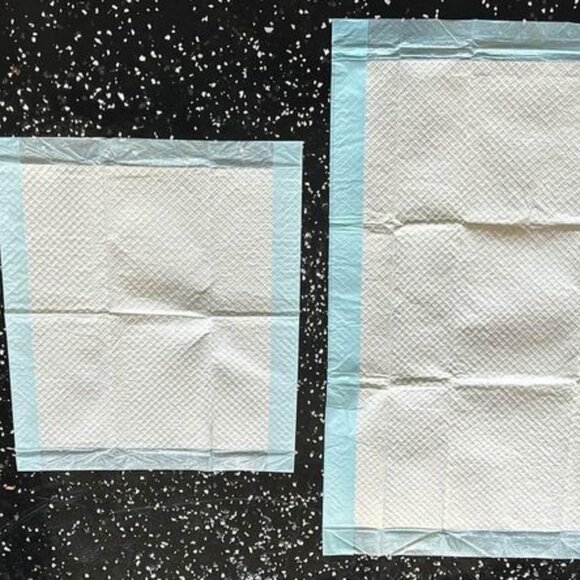 Puppy Potty Training Pads - Picture 1 of 1